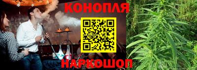 прущие грибы Севастополь