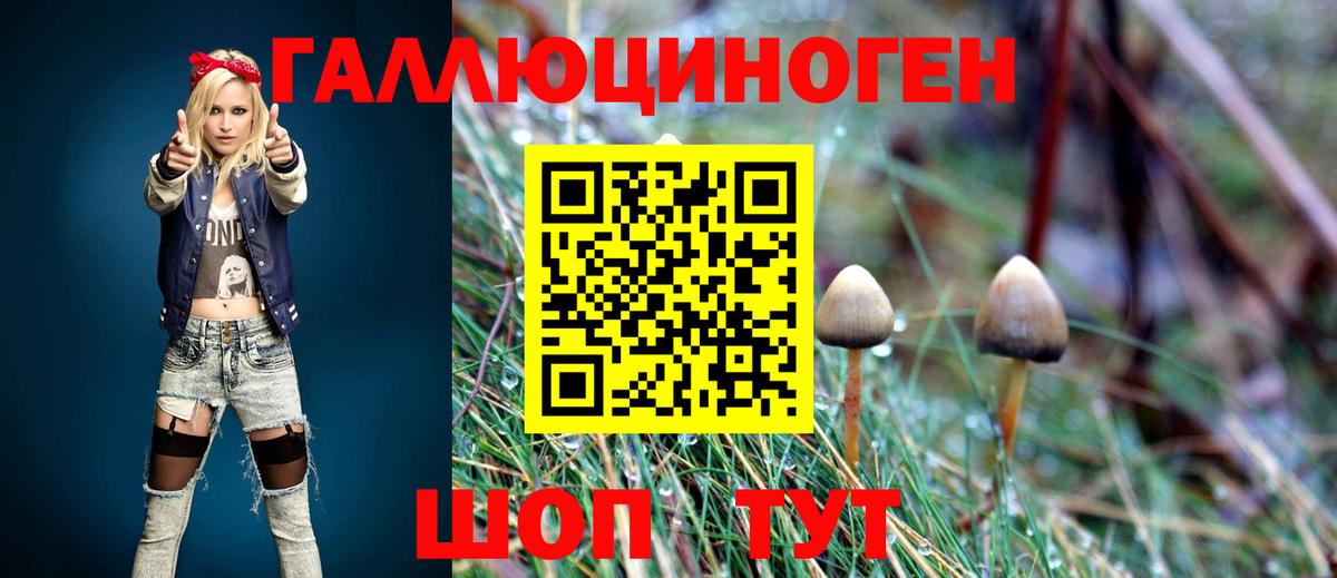 Псилоцибиновые грибы мухоморы Барнаул