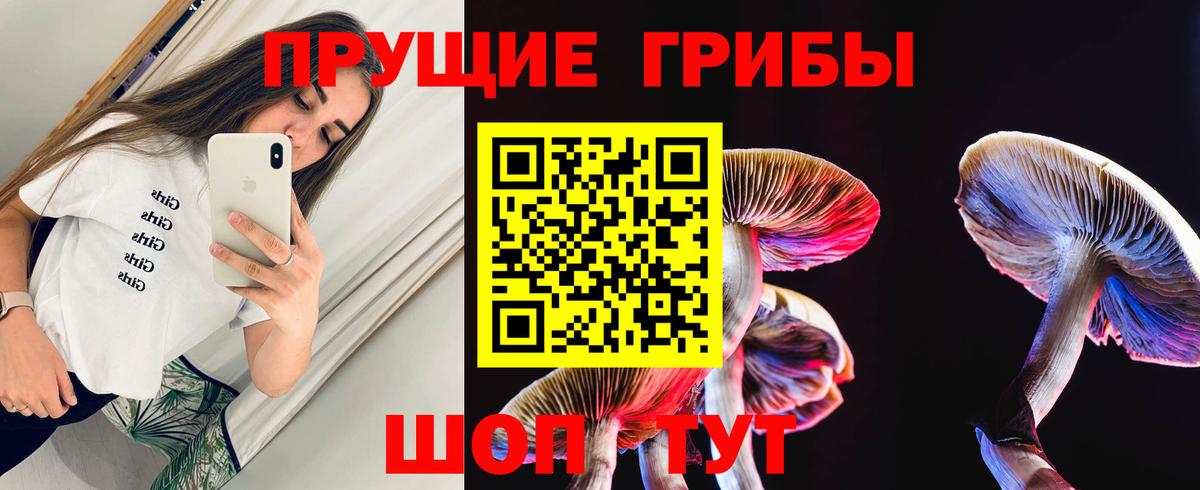 Галлюциногенные грибы Psilocybe  Вход с VPN  Барнаул 